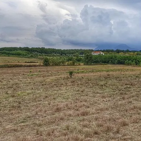 Ricci Oda ve Kahvaltı *
